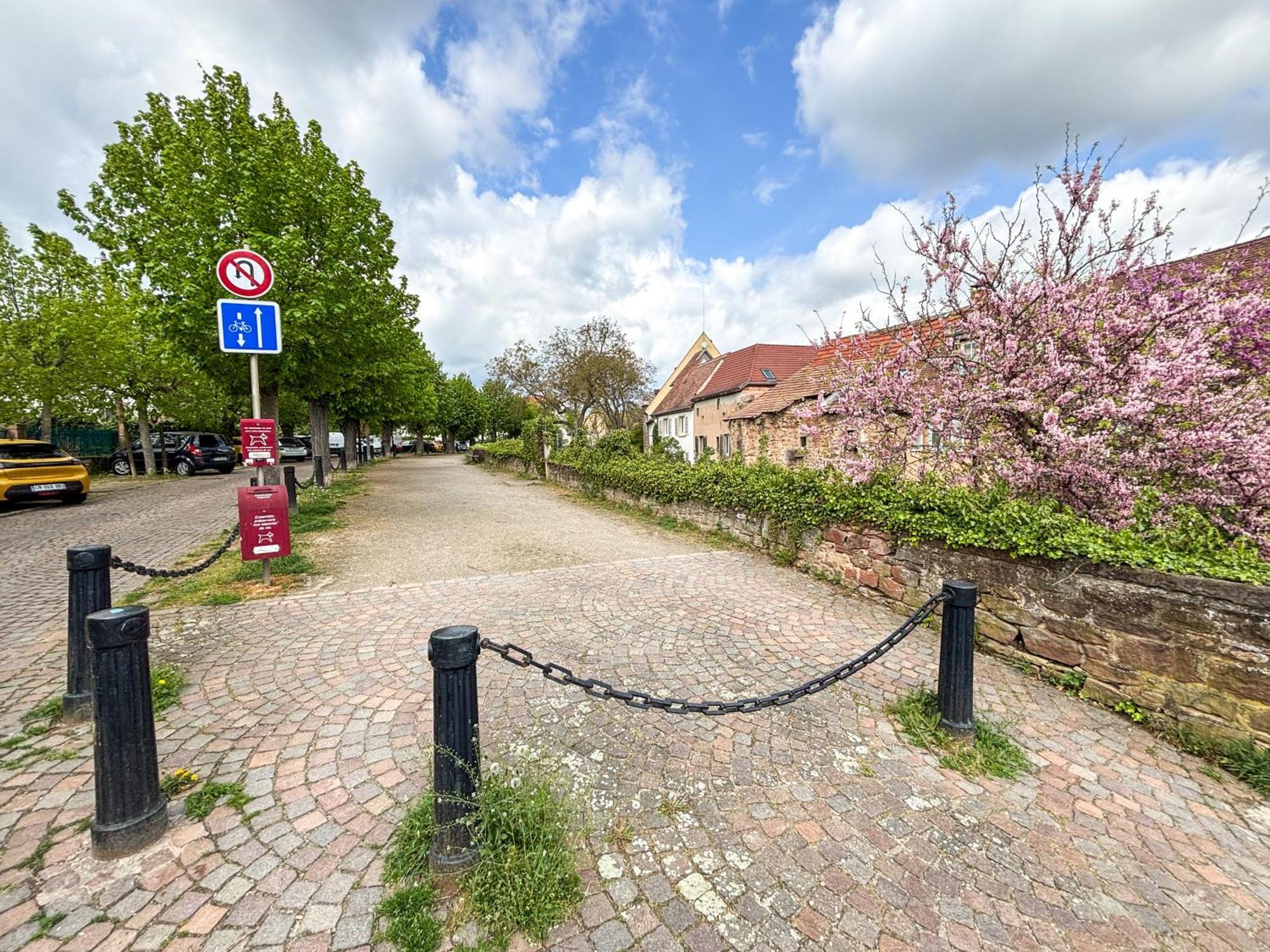 Le Pavillon Des Remparts - Commerces A Proximite - Centre-Ville - Appartement Cosy Obernai Exterior photo